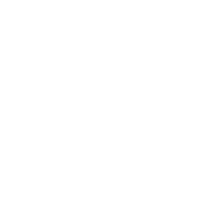 Ícono Repuestos