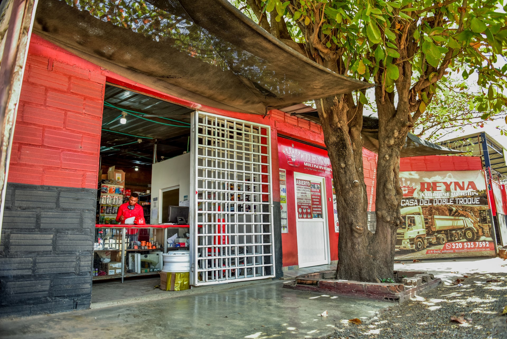 Galería imagen 8